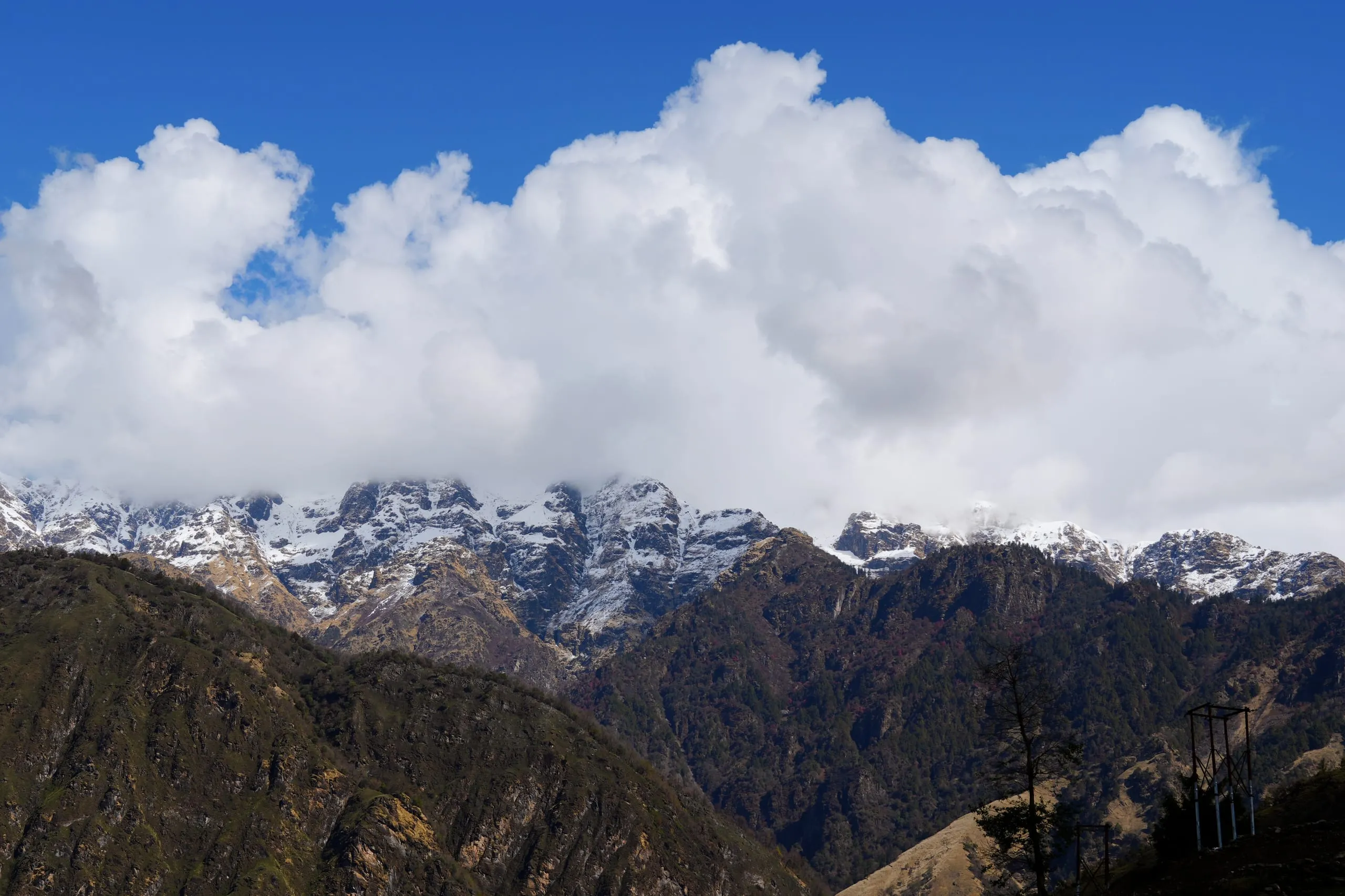A snow-covered ridge with cloud sitting on the summits, seen across forested foothills